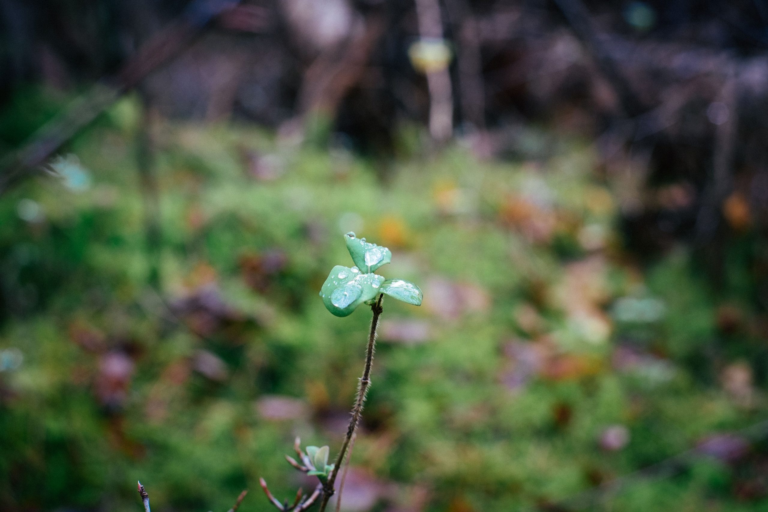 Im Betrieb für das Klima engagieren